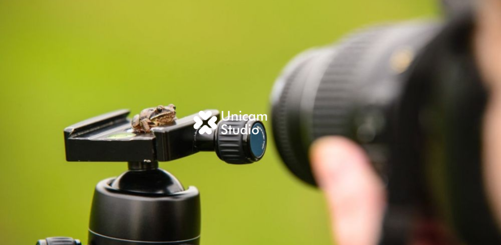 Pentingnya Teknik Makro untuk Detail Objek Kecil