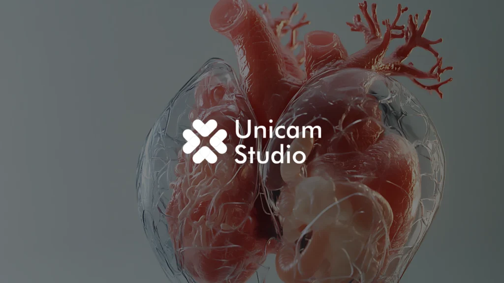 Unicam Studio, Vendor 3D Anatomy Organ Tangerang, hadir membuat model 3D organ akurat dan video edukasi medis profesional.