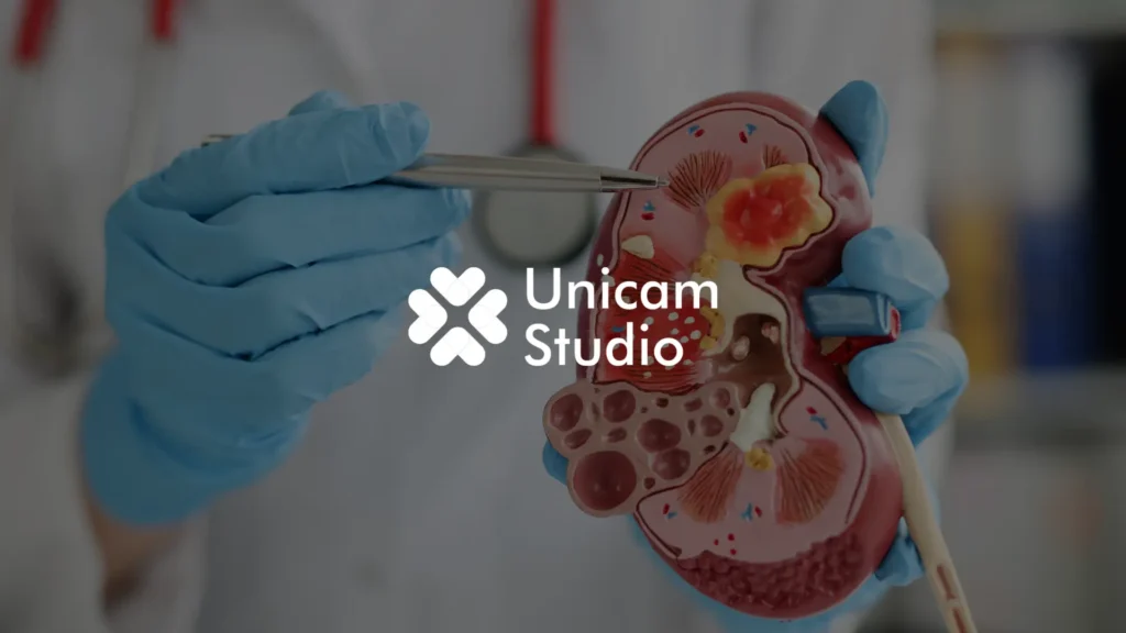 Unicam Studio, Vendor 3D Anatomy Organ Karawang terpercaya, hadir membuat model 3D organ akurat dan video edukasi medis profesional.