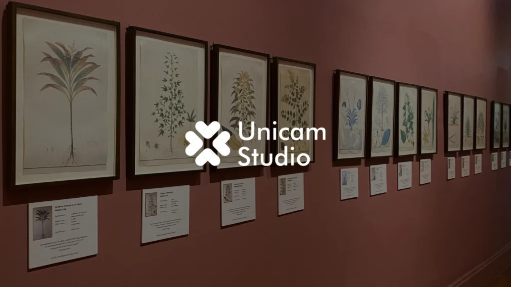 Virtual Tour Exhibition 360 Bali dari Unicam Studio. Hadirkan pengalaman tur virtual imersif secara digital.