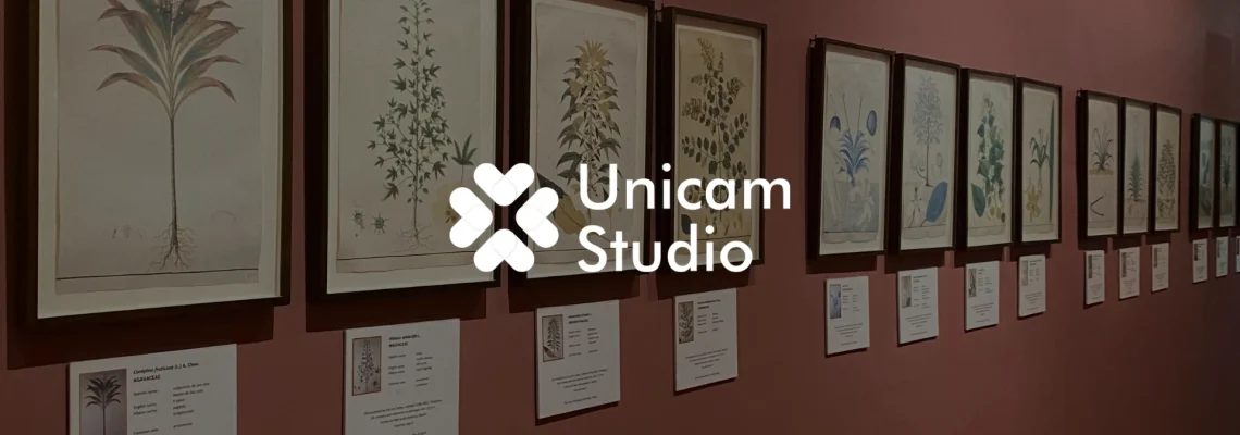 Virtual Tour Exhibition 360 Bali dari Unicam Studio. Hadirkan pengalaman tur virtual imersif secara digital.