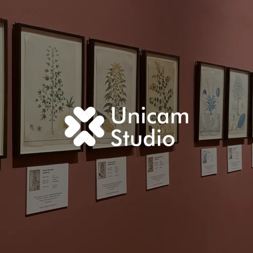 Virtual Tour Exhibition 360 Bali dari Unicam Studio. Hadirkan pengalaman tur virtual imersif secara digital.